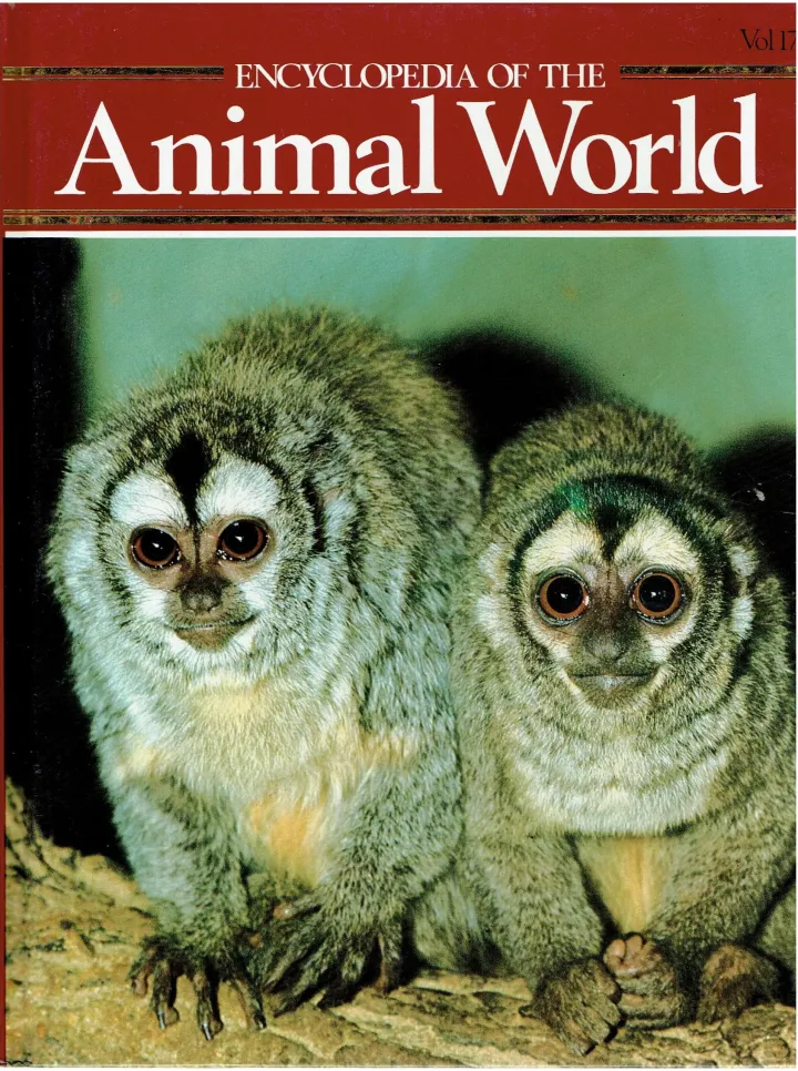 Encyclopedia of the animal world Rhebok - Shag Vol 17