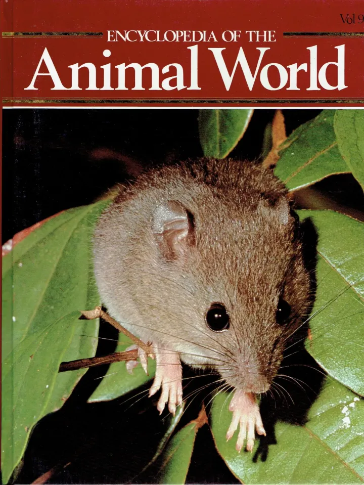 Encyclopedia of the animal world Following response - Goldcrest Vol 9